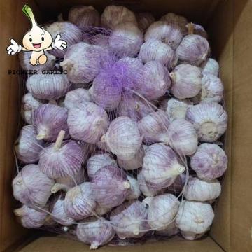 2022 China Fresh 3p 4p 5p 6p 7p Normal White Garlic