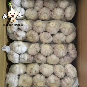 Factory Competitive Price Fresh Garlic In Bulk Cheap Price Of Garlic