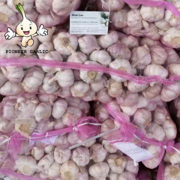 2022 New Crop China Fresh White Garlic Chinese Distributor Garlic Wholesale Price