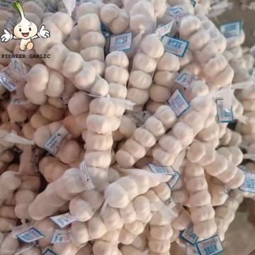 2022 High Quality Wholesale Garlic Market Price White Garlic