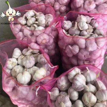 2022 new crop normal white garlic red garlic in 10kg mesh bag