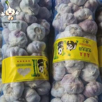 2022 new crop normal white garlic red garlic in 10kg mesh bag