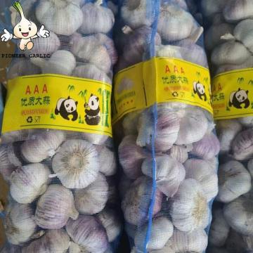 2022 new crop normal white garlic red garlic in 10kg mesh bag