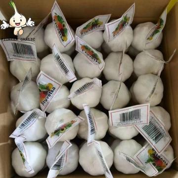 2022 New Crop China Fresh White Garlic Chinese Distributor Garlic Wholesale Price