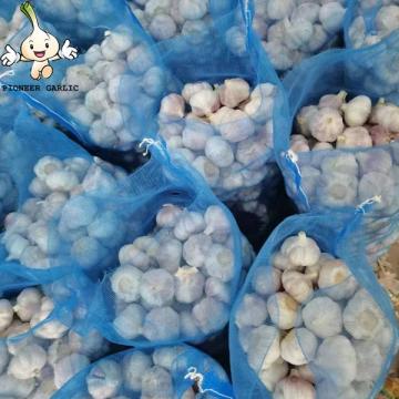 Fresh garlic Chinese new crop 2022 high quality wholesale garlic normal white garlic