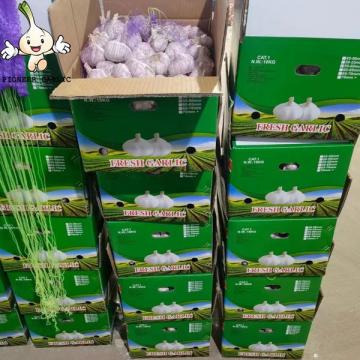 2022 China Best Wholesale Fresh Garlic Price -new crop, high quality for export