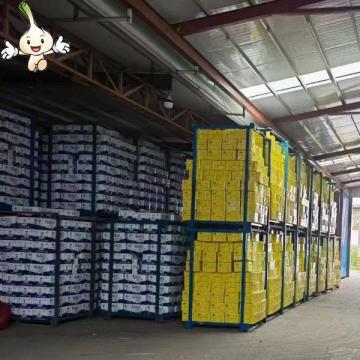 Wholesale 2022 new fresh garlic supplier normal white garlic