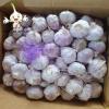 2022 New Crop China Fresh Normal White Garlic Wholesale Price