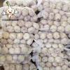 2022 New Crop China Fresh Normal White Garlic Wholesale Price