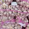 2022 New Crop China Fresh Normal White Garlic Wholesale Price