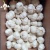 China 2022 New Crop Garlic 10kg  mesh bag Pure White Garlic