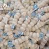 China Fresh Pure White Garlic new crop 5p mesh bag pure white garlic