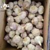 Normal White Garlic chinese wholesale garlic 2022 fresh new crop