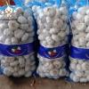 2022 China Best  normal white garlic red garlic in 10kg mesh bag