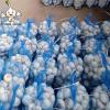 2022Chinese fresh garlic in cold storage of garlic export pure white normal white garlic