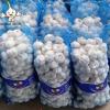 2022 Jin Xiang China New Crop Pure White Fresh Garlic in 10kg mesh bag Packing