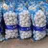 2022 Jin Xiang China New Crop Pure White Fresh Garlic in 10kg mesh bag Packing