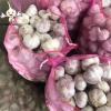 2022 new crop normal white garlic red garlic in 10kg mesh bag