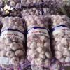 Jin Xiang China Normal White Fresh Garlic in 10kg mesh bag Packing