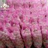 China Shandong Factory New Crop Fresh Garlic 10kg mesh bag