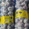 2022 new crop normal white garlic red garlic in 10kg mesh bag