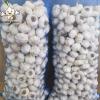 China white garlic seeds price for sale market price 10kg carton Garlic with root