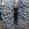 2022 new crop Fresh garlic seeds 10kg mesh bag Garlic with root