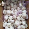 2022 China Best Wholesale Fresh Garlic Price -new crop, high quality for export