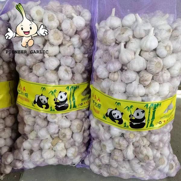 2022 New Crop China Fresh Normal White Garlic Wholesale Price #9 image