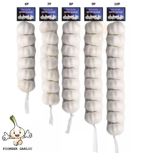 2022 Fresh Garlic Pure Normal White  6.0cm 5p mesh bag