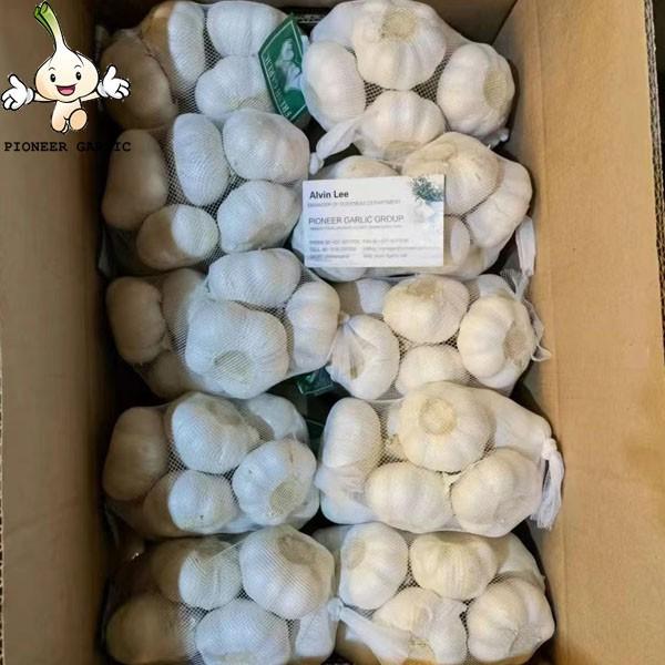 2022 High Quality Wholesale Garlic Market Price White Garlic #10 image