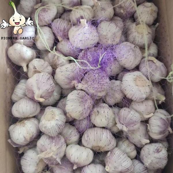 2022 New Crop China 6.0 cm Fresh Normal White Garlic #2 image