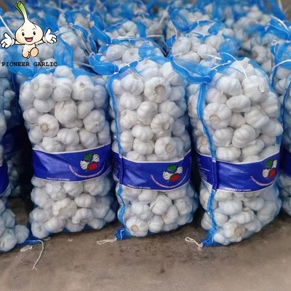 2022Chinese fresh garlic in cold storage of garlic export pure white normal white garlic