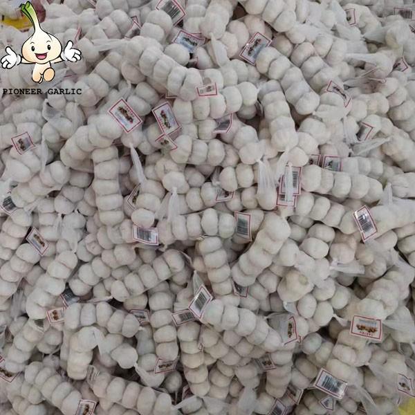 2022 Fresh Garlic Pure Normal White  6.0cm 5p mesh bag #4 image