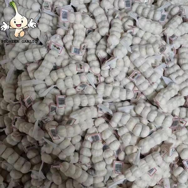 2022 Fresh Garlic Pure Normal White  6.0cm 5p mesh bag #9 image