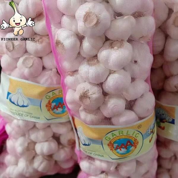 Chinese normal garlic for sale white fresh garlic price jinxiang garlic