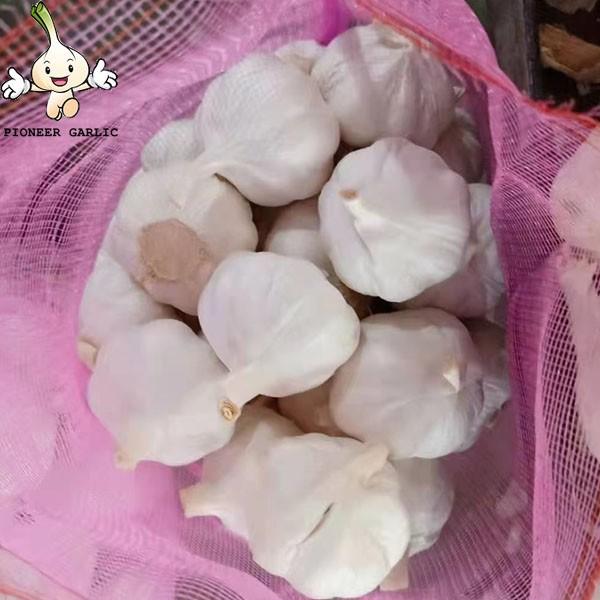 2022 Jin Xiang China New Crop Pure White Fresh Garlic in 10kg mesh bag Packing