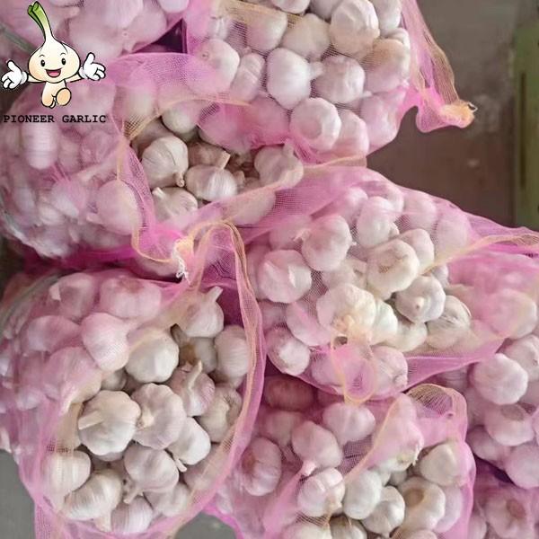 2022 new crop normal white garlic red garlic in 10kg mesh bag