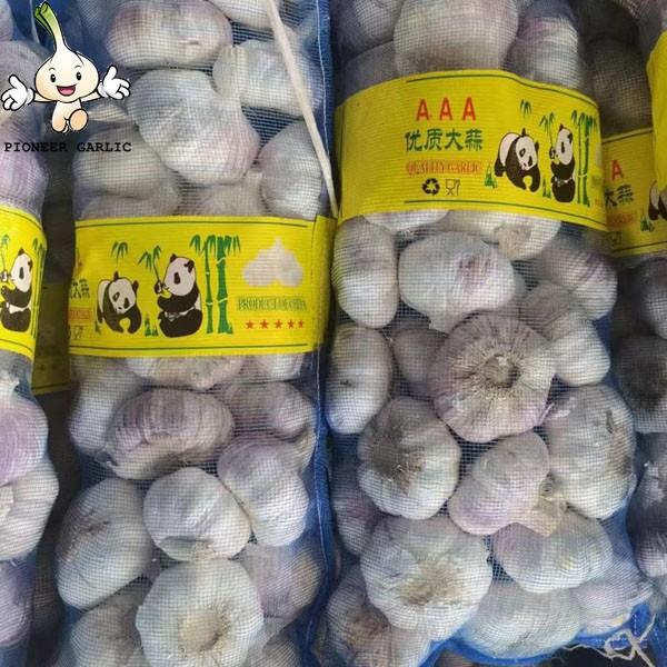 6.0 cm Factory Pure White Fresh Garlic Price  bulk garlic for sale garlic from China #2 image