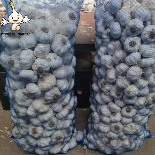 2022 new crop Fresh garlic seeds 10kg mesh bag Garlic with root #3 image