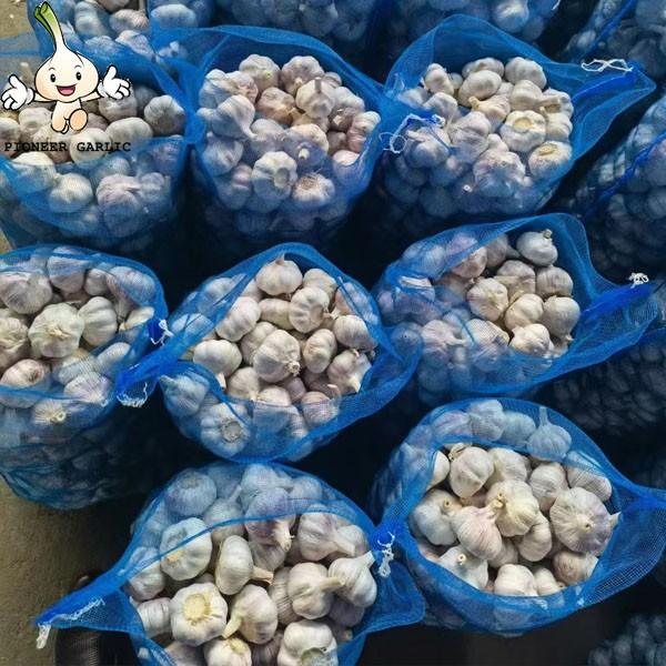 2022 China Best Wholesale Fresh Garlic Price -new crop, high quality for export #3 image