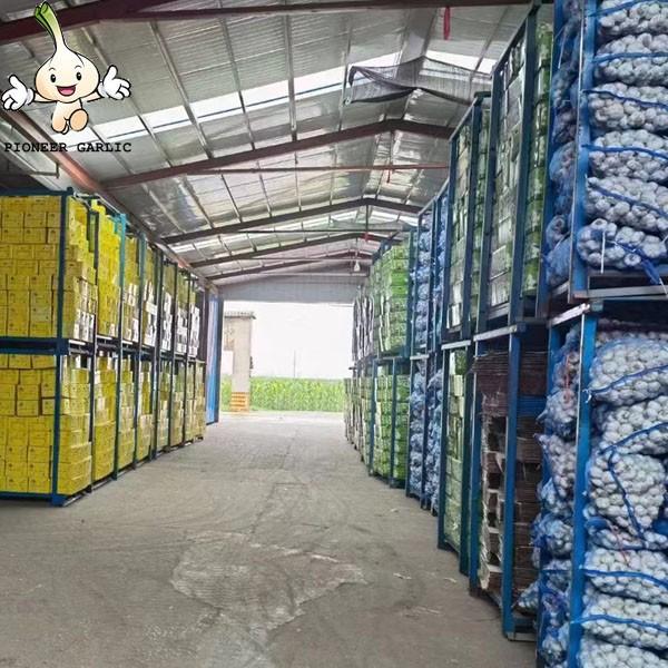 2022 China Best Wholesale Fresh Garlic Price -new crop, high quality for export #10 image