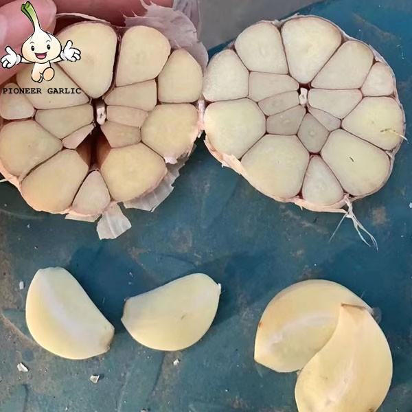 Low Price chinese garlic White Bag new Crop Food Newest Package garlic top quality fresh #1 image